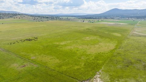 Tiny photo for 43273 Sycan Road, Beatty, OR 97621 (MLS # 220173121)