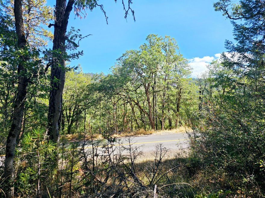 Build your home on this .44 acre lot that's backs up to BLM. Gorgeous views of the surrounding mountains. Per seller property does not have a well, however, a suitable well location has been identified with a local company. A septic system needs to be replaced/installed, and homesite has been applied and approved with conditions. Bring your vision and check out this piece of land. Buyer to do their own due diligence and verify all aspects of the property including uses, zoning, approvals and building requirements.