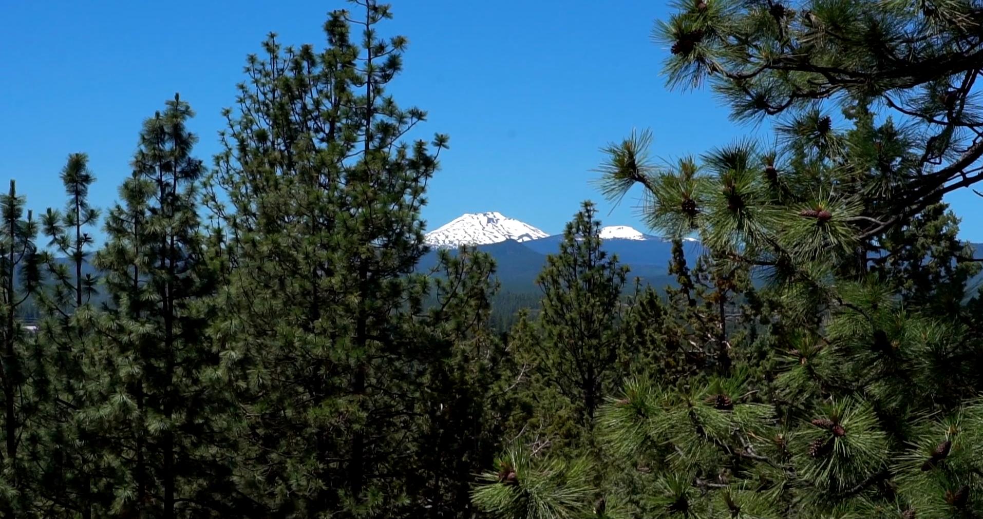 West Hills - Residential