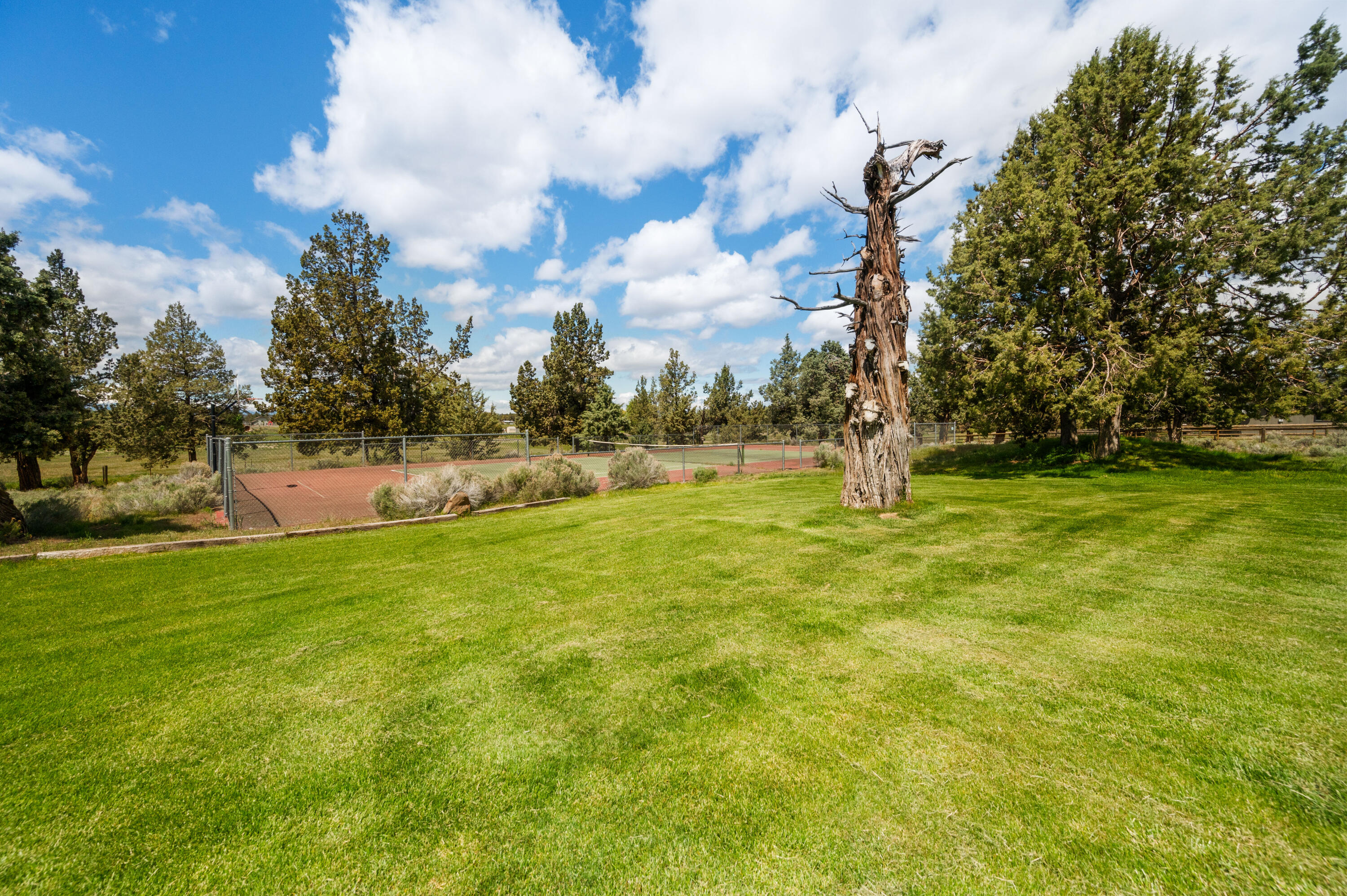 White Rock Ranchette - Residential