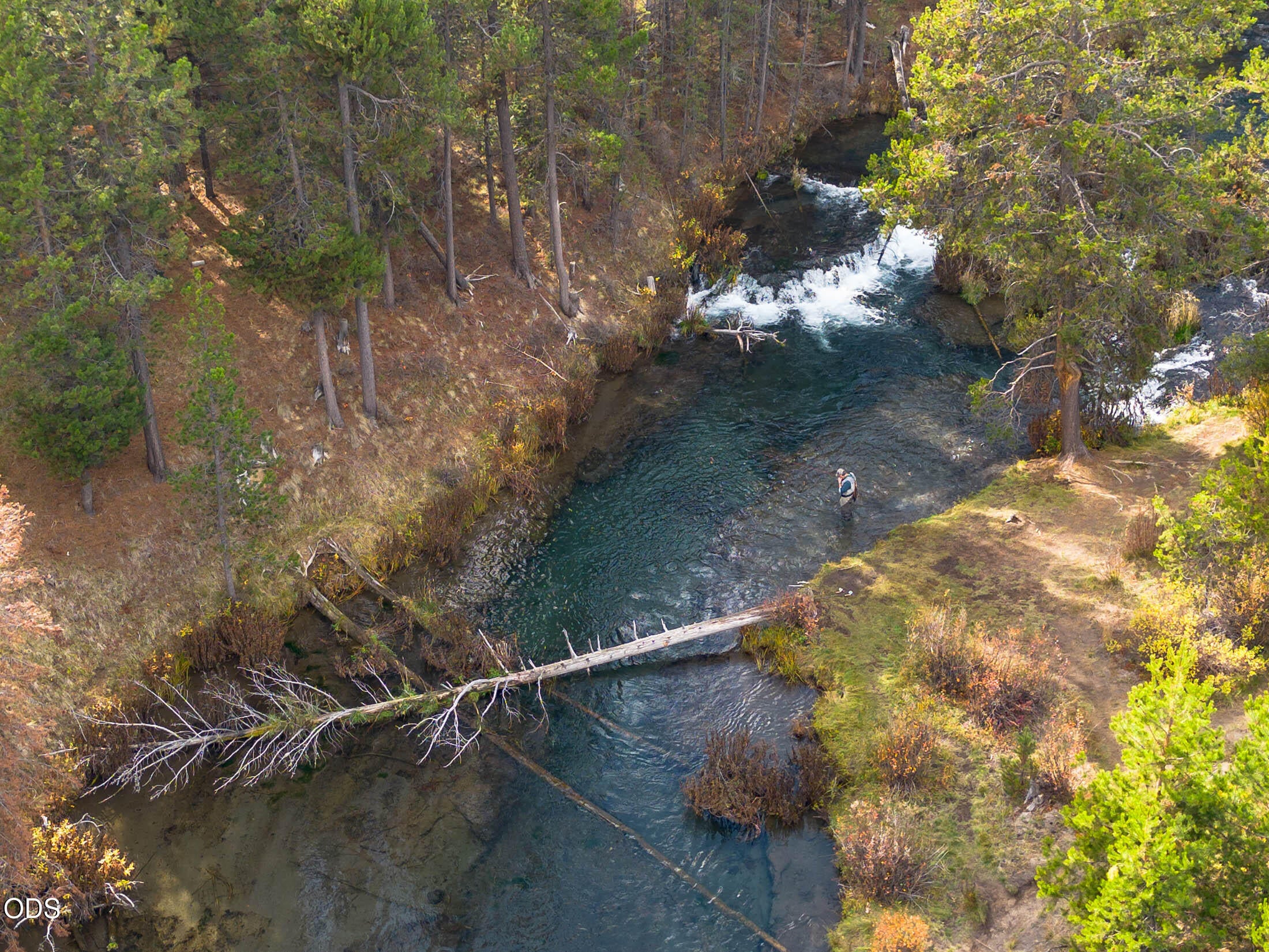 15150 Yellow Pine Loop