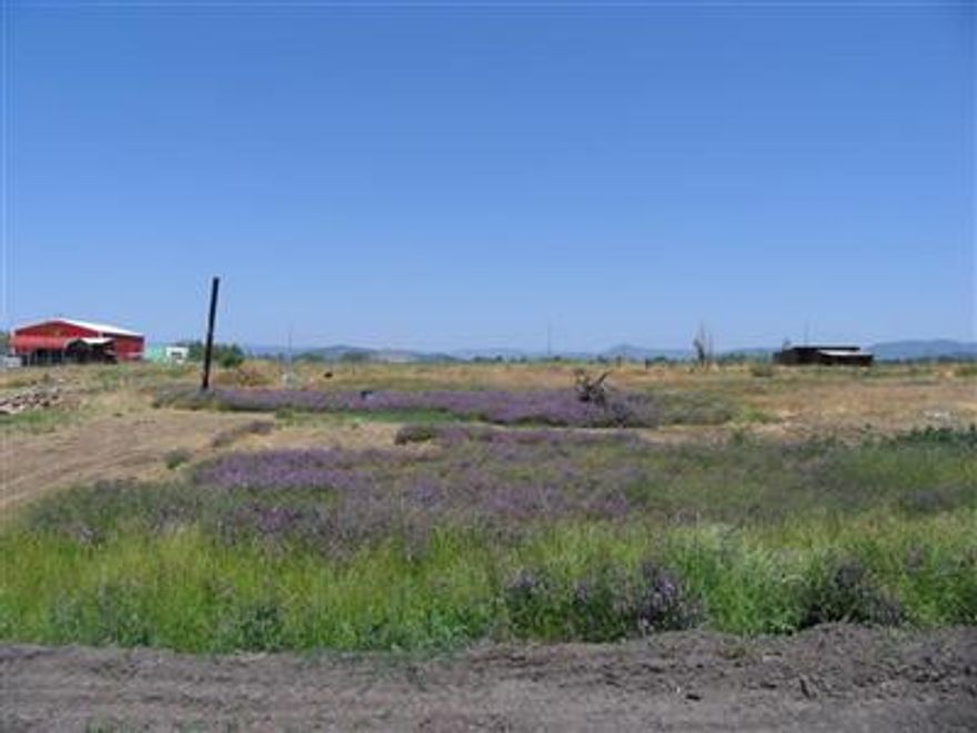 Ideal homesite for manufactured or stick built home. New driveway, excellent well, three acres of irrigation rights has just been acquired, waiting for verification from RVS as to sewer connection, the sewer line assessment has been paid.