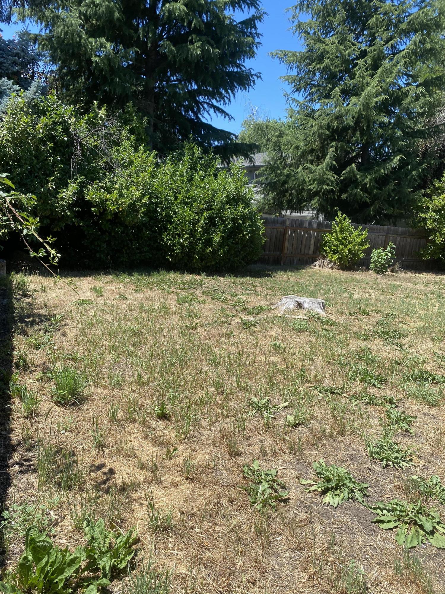 Earhart Park Subdivision - Residential