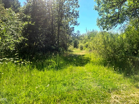 Tiny photo for 3901 Placer Road, Sunny Valley, OR 97497 (MLS # 220223549)