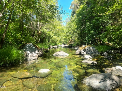 Tiny photo for 3901 Placer Road, Sunny Valley, OR 97497 (MLS # 220223549)