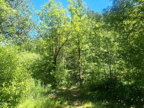 Tiny photo for 3901 Placer Road, Sunny Valley, OR 97497 (MLS # 220223549)