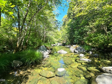 Tiny photo for 3901 Placer Road, Sunny Valley, OR 97497 (MLS # 220223549)