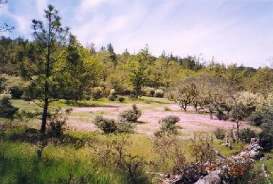 What more could you ask? Private 6.69-acre parcel with strong well (20 GPM when drilled) plus a concrete holding tank. Septic installed and a non-expiring homesite approval. All that gorgeous Rogue River views.