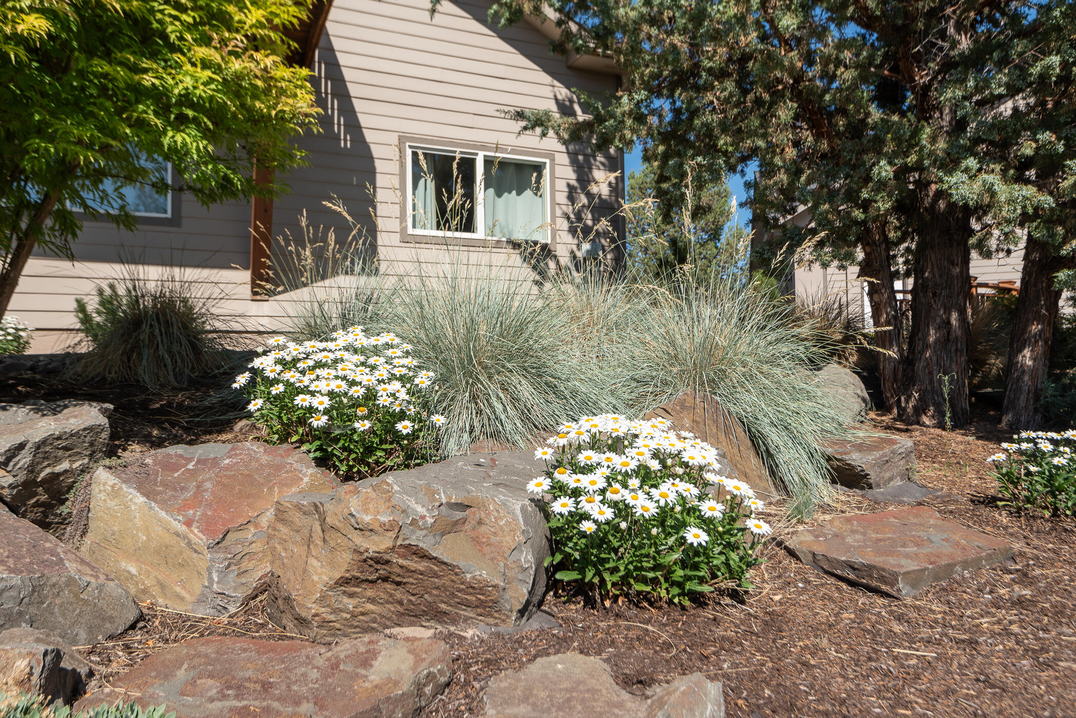 Dry Creek Airpark - Residential