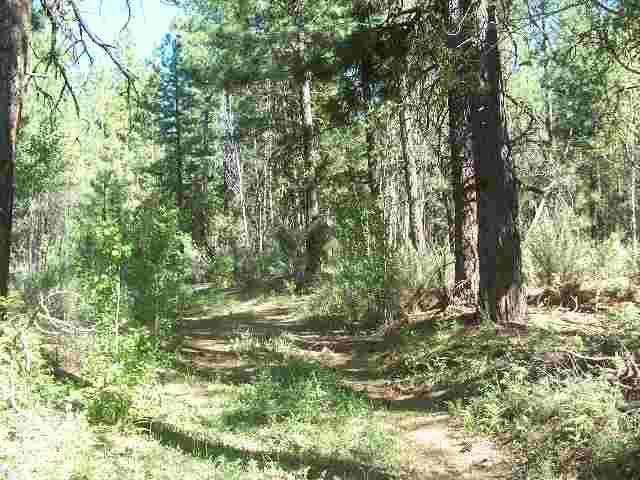 Sprague River - Land