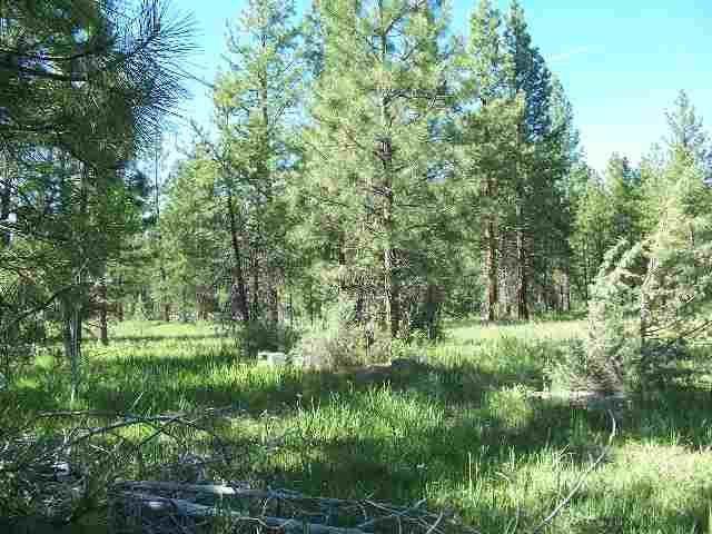 Sprague River - Land