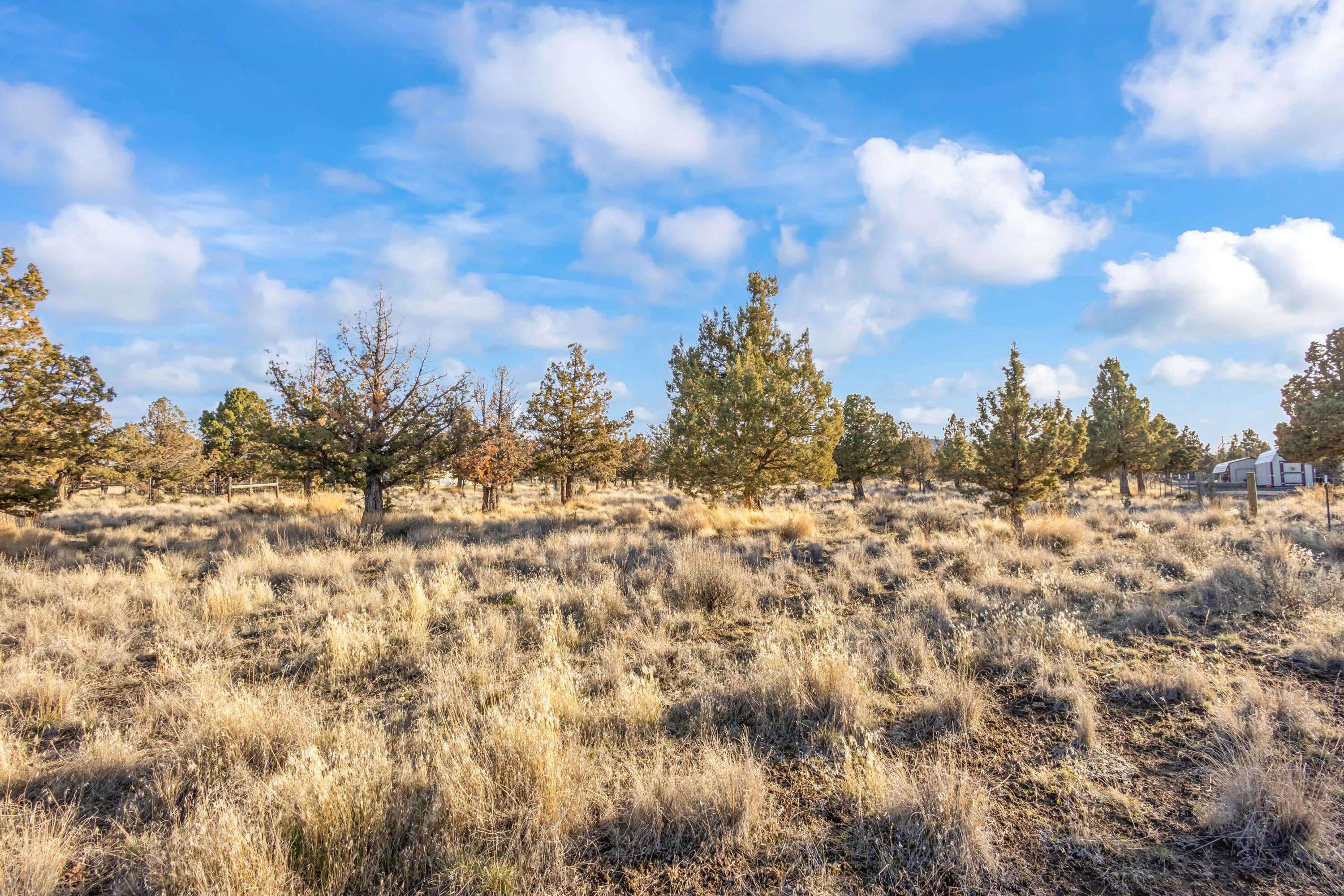 High Desert Estate - Residential