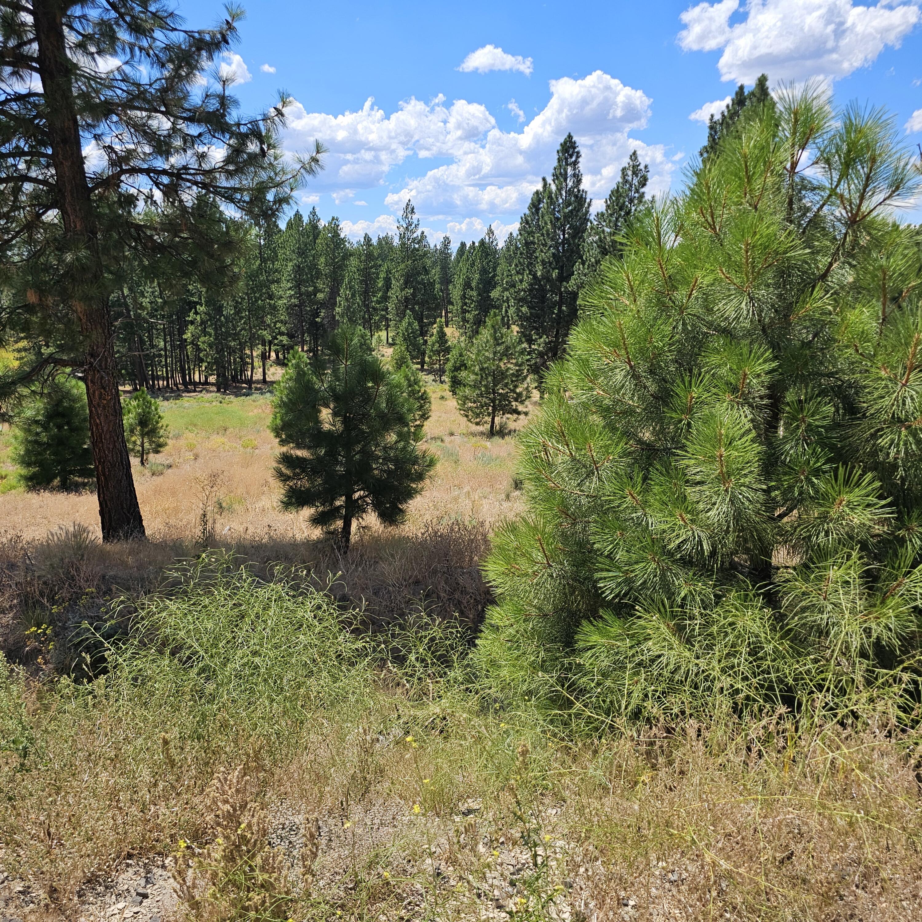 Tract 1110 - Residential