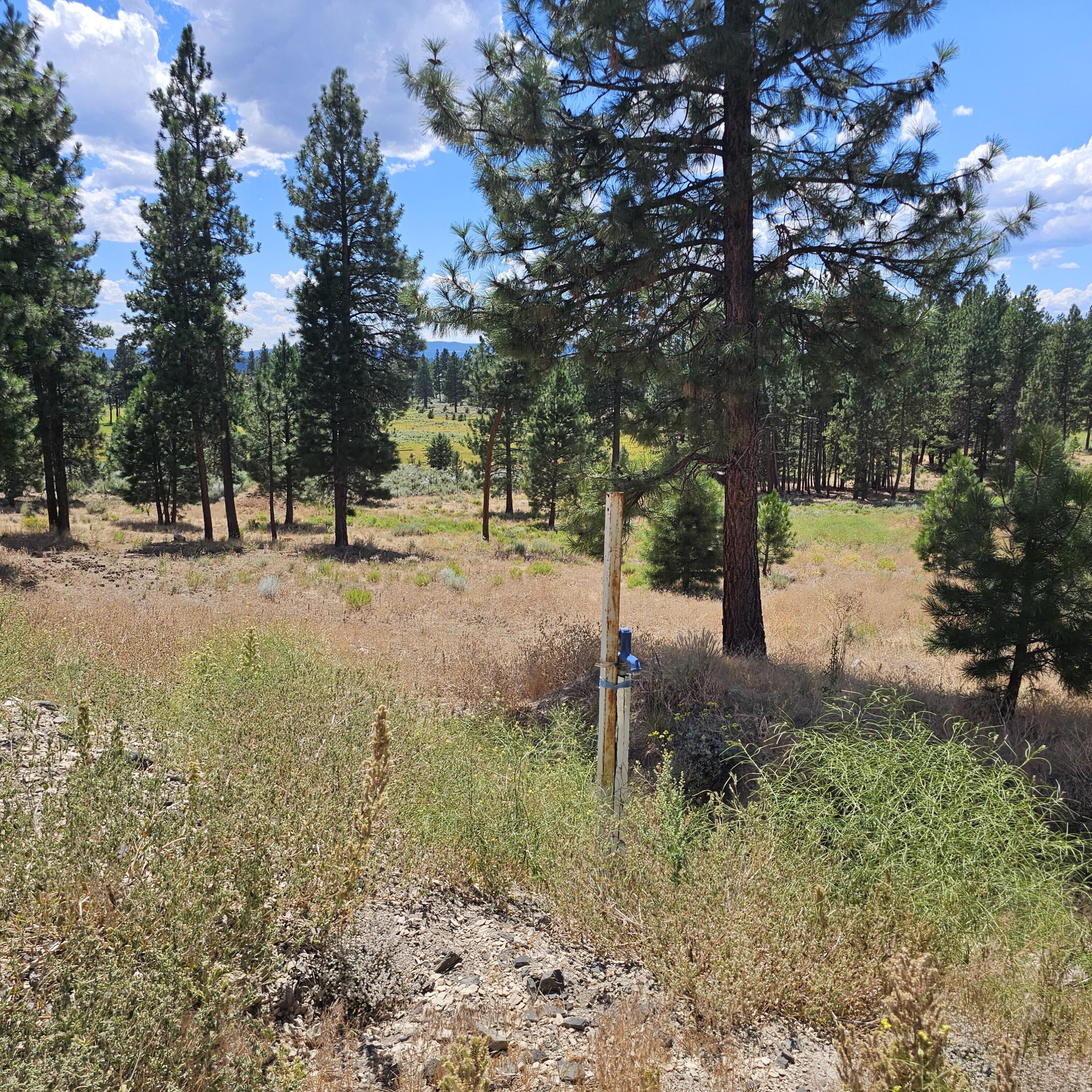 Tract 1110 - Residential