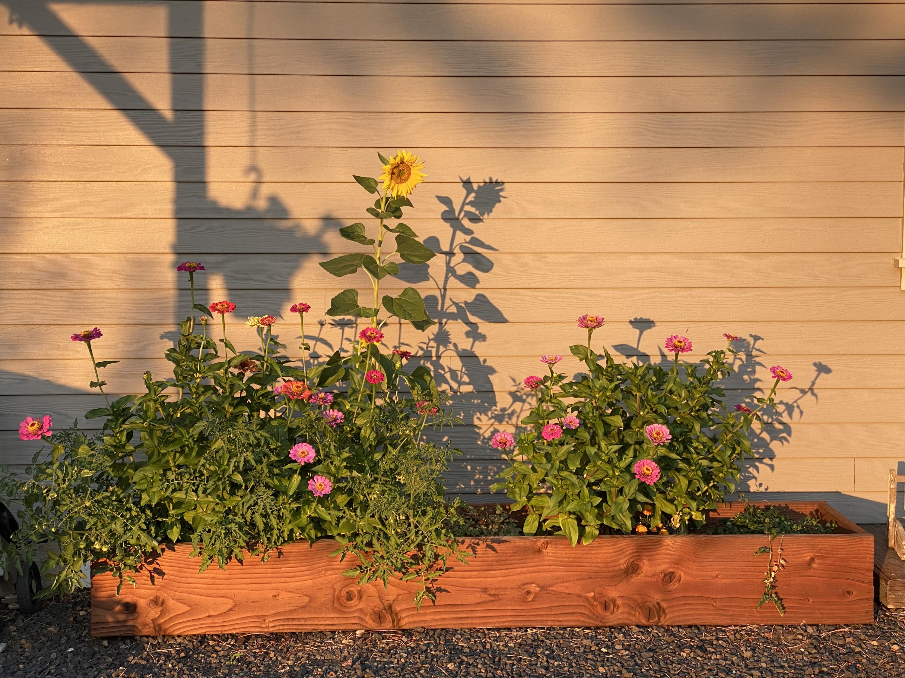 Starwood - Residential