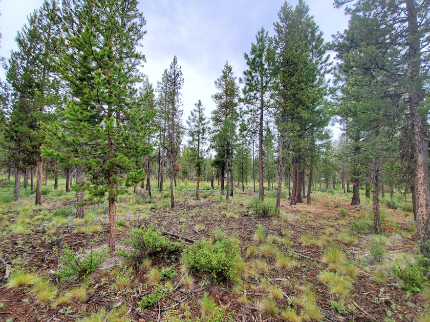 The perfect recreational lot! Over 5 acres of space to get away from today's busy world. The Deschutes National Forest is less than 400 feet away at the end of
the cul-de-sac. Endless hiking, mountain biking, cross country skiing and more. Located just a couple minutes southwest of Sunriver and close to Mt. Bachelor
and the High Lakes and easy access to Bend. Buyer to be responsible for due diligence regarding septic and structures.