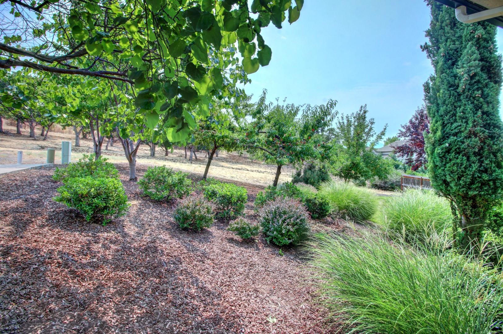 Forest Ridge At Vista Pointe Phase 4 - Residential