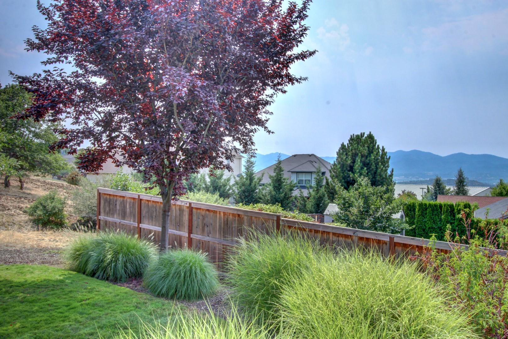 Forest Ridge At Vista Pointe Phase 4 - Residential