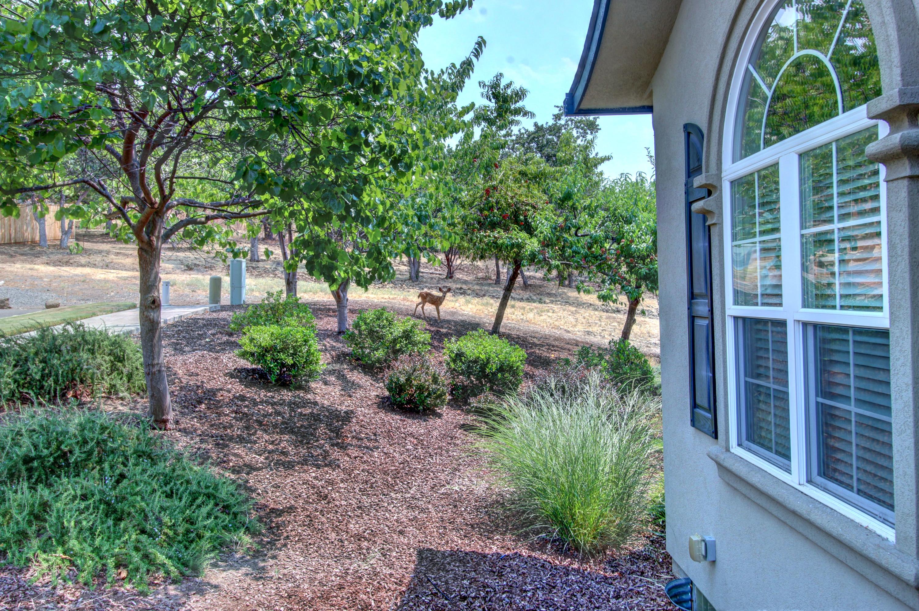 Forest Ridge At Vista Pointe Phase 4 - Residential