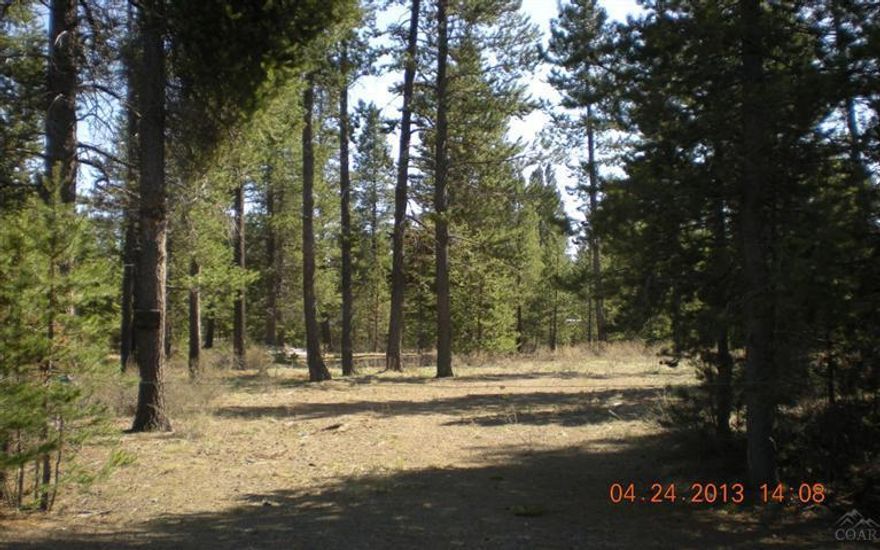 1 acre, nicely treed lot. Build your dream home along with other nice homes on the street.