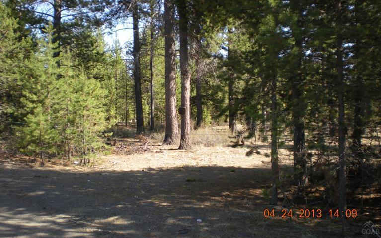 Tall Pines - Land