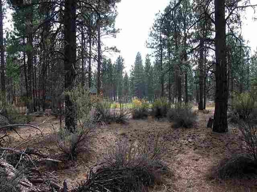 Great Buildable Lot Just 23 Miles East Of Town In Area Of Good Wells Close To Power. Close To Hwy 140. In Area Of Stick Built And Manufactured Homes.