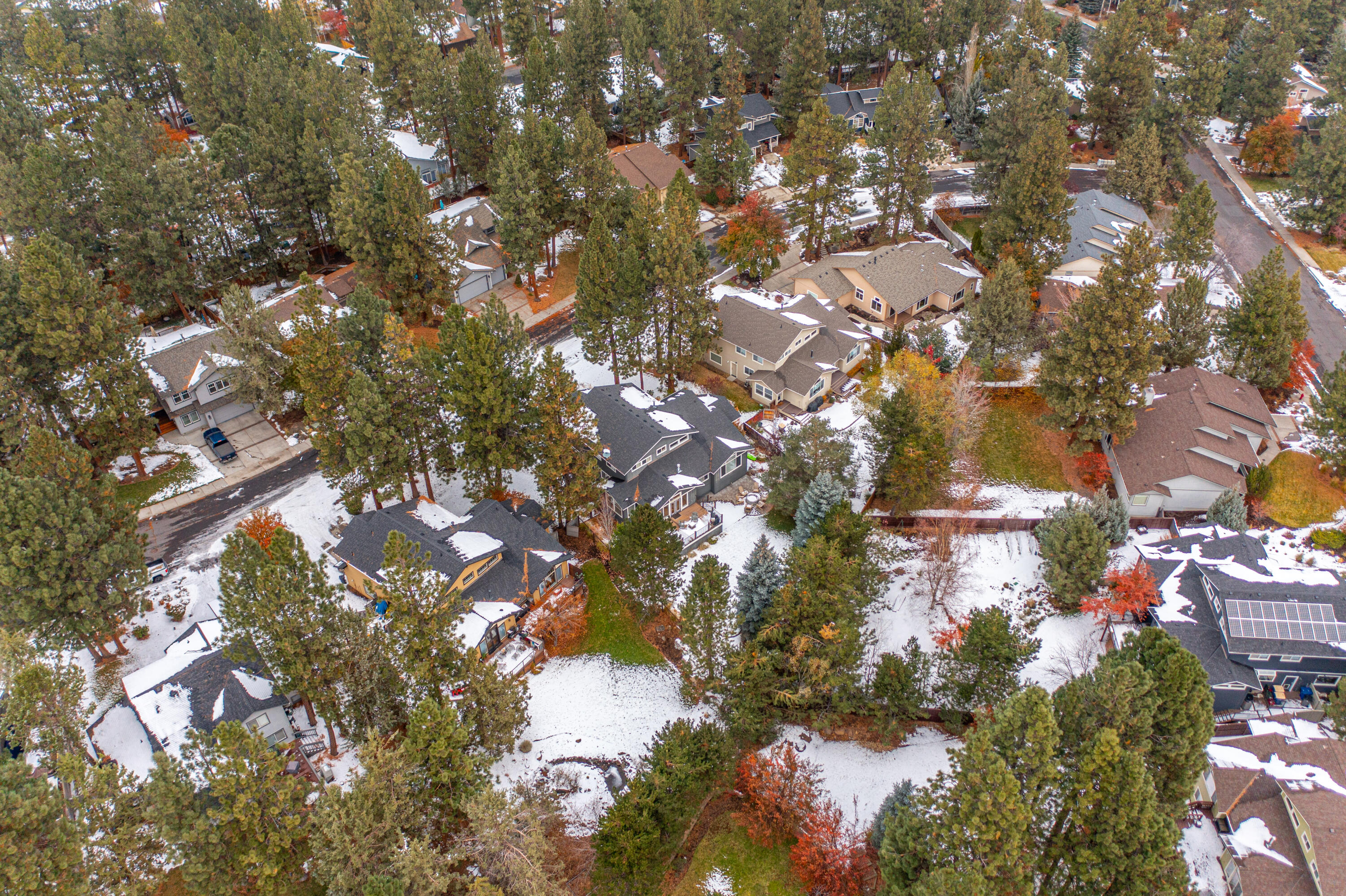 Forest Hills - Residential