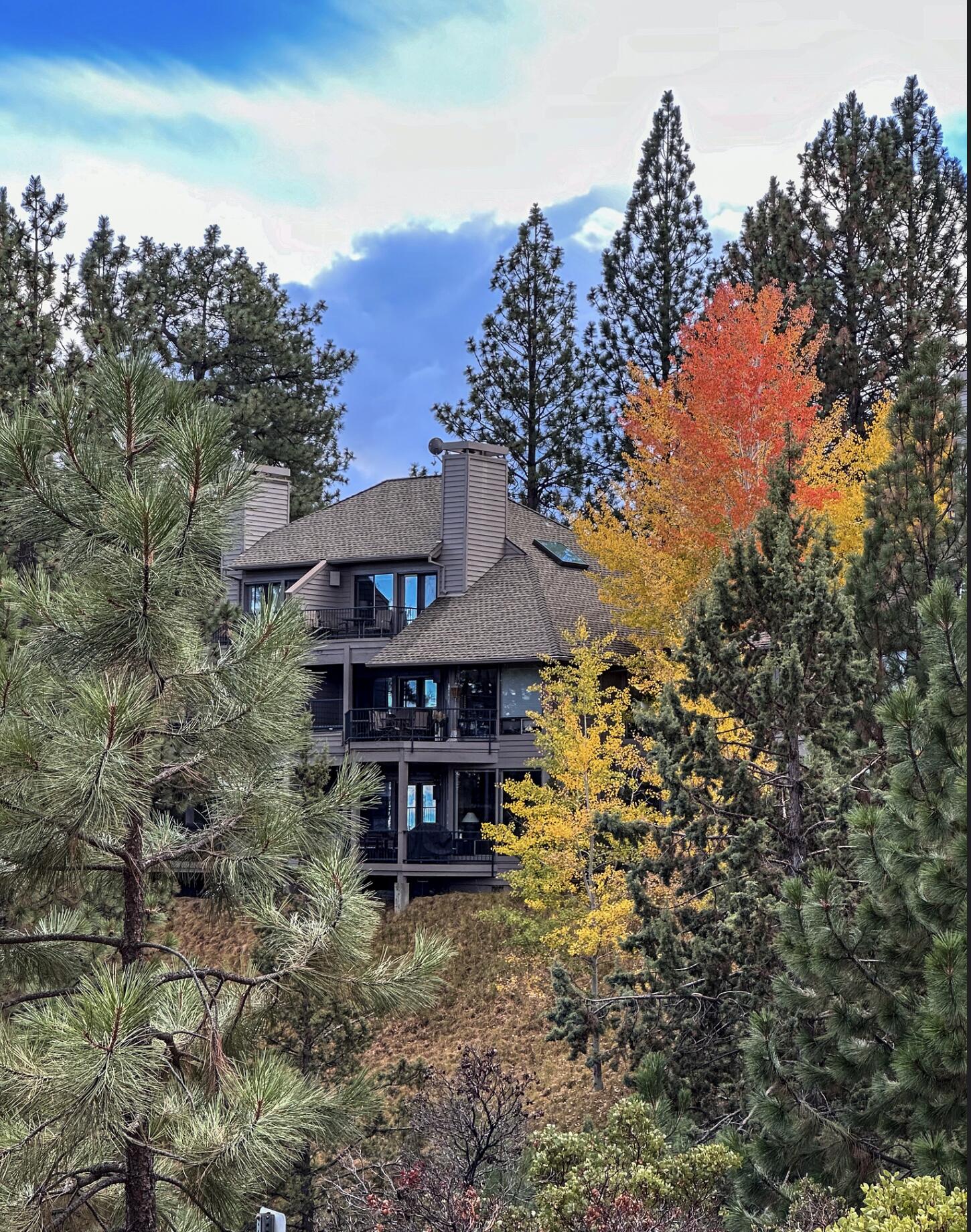 Mt Bachelor Village - Residential