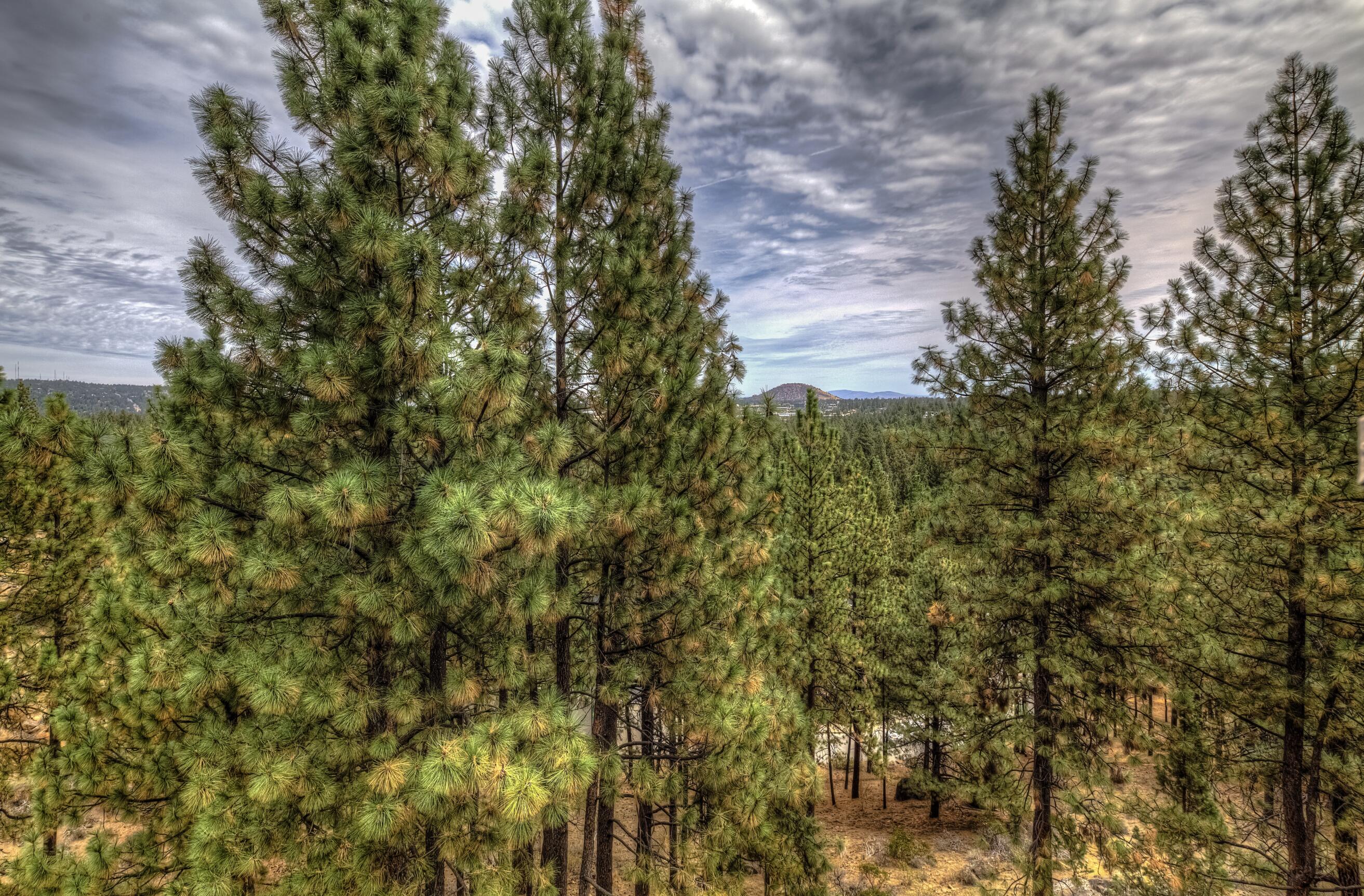 Mt Bachelor Village - Residential