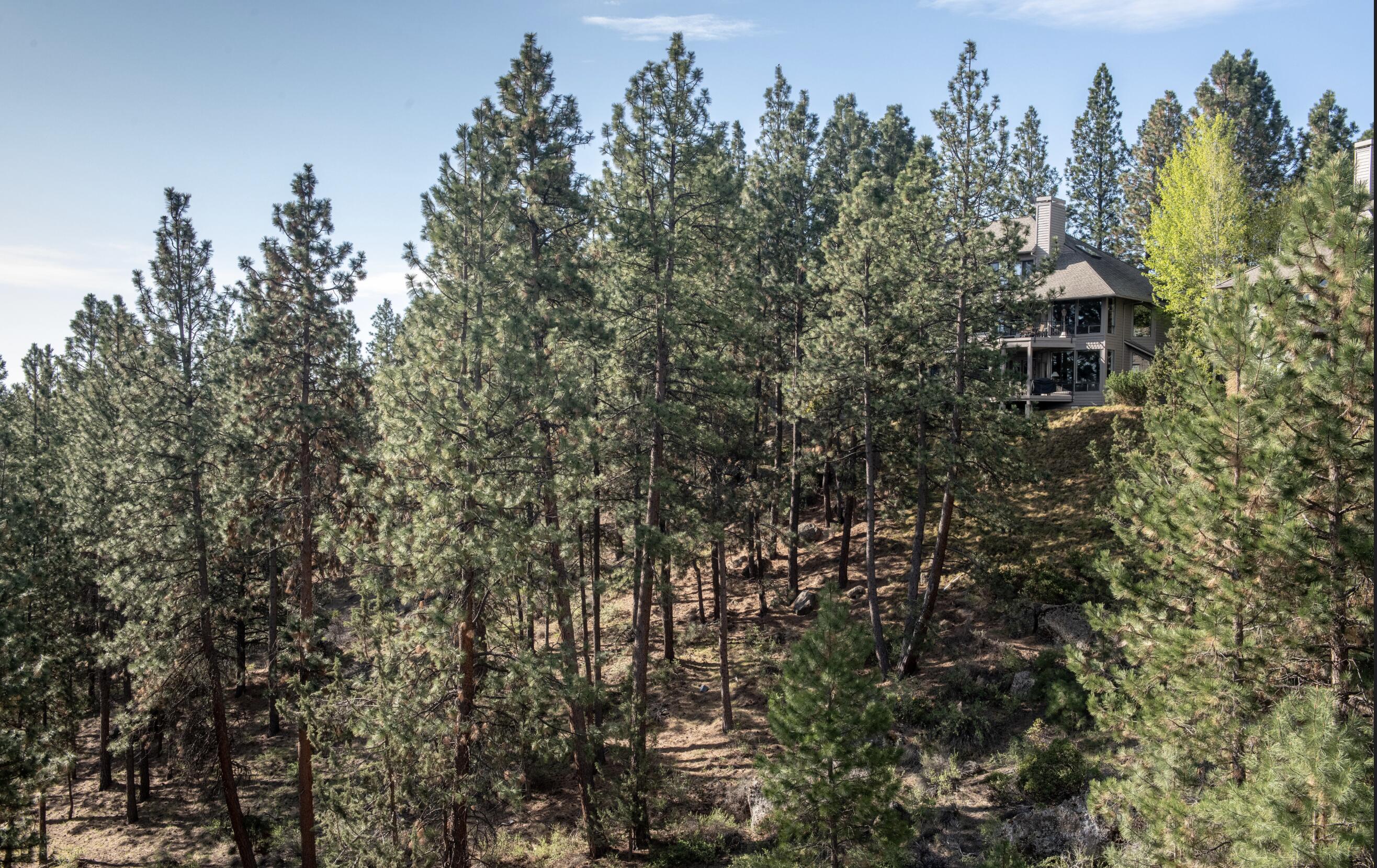 Mt Bachelor Village - Residential