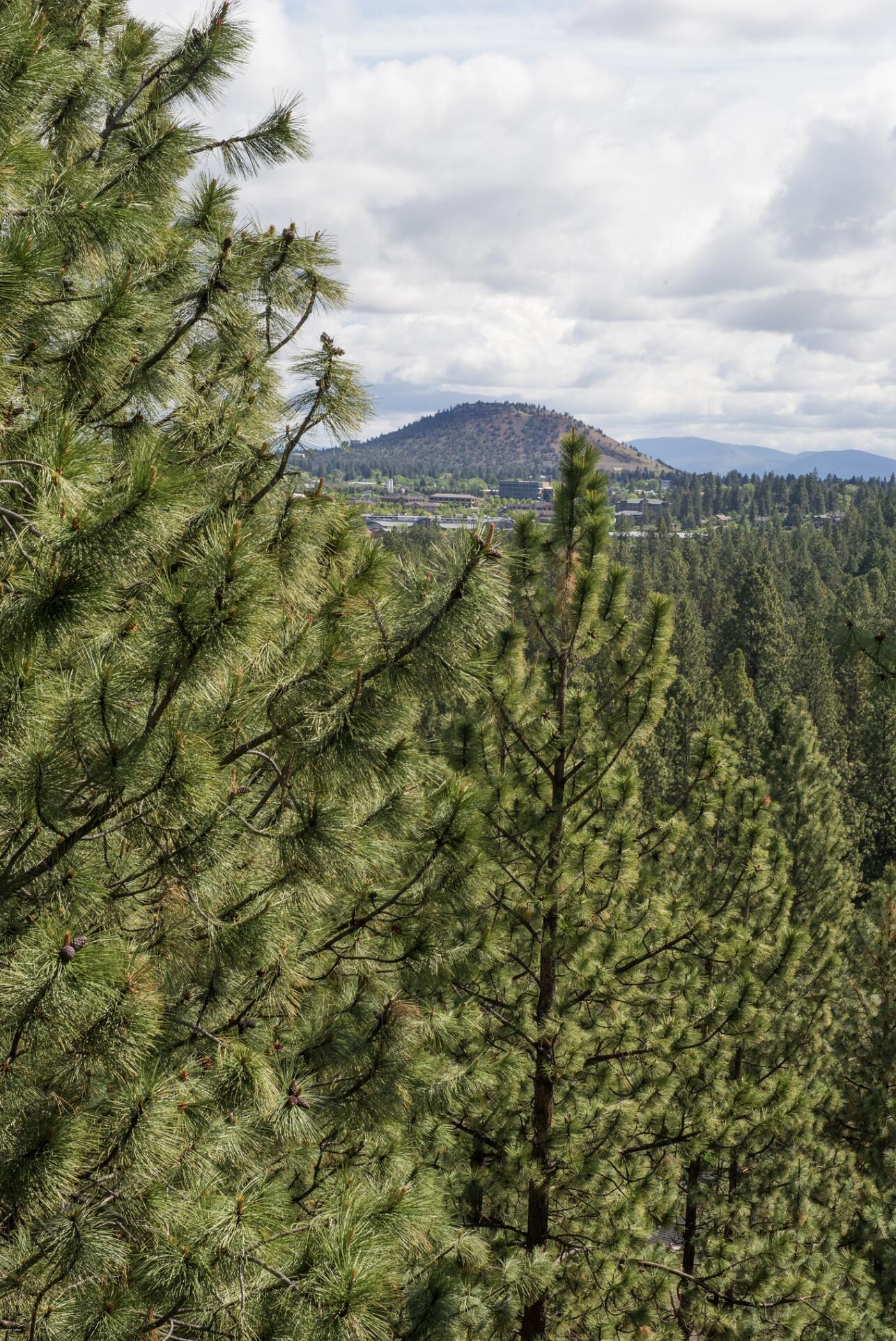 Mt Bachelor Village - Residential