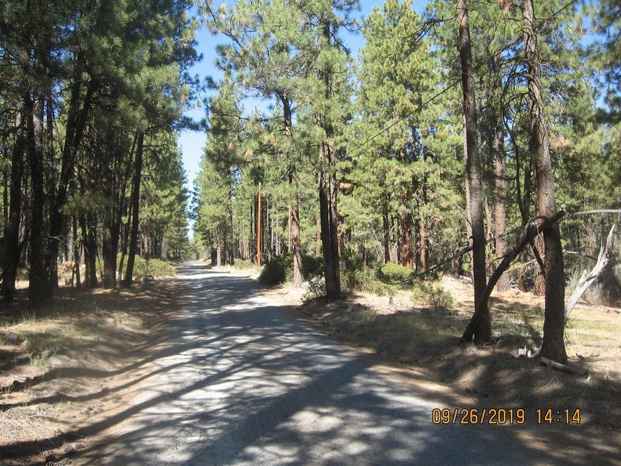 Beautifully wooded lot in KFFE Unit 1 with power at the road! Mostly level land with good road access. Not far from National Forest with lots of wildlife! This is an area of extremely deep wells.