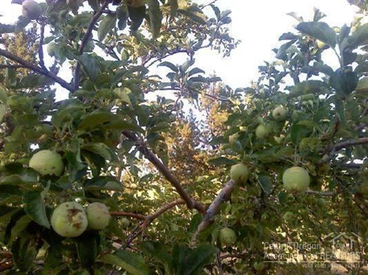 Riverside Ranch - Land