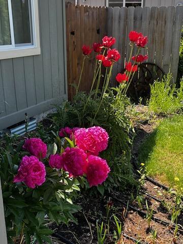 Black Hawk - Residential