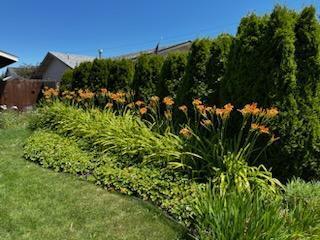 Black Hawk - Residential