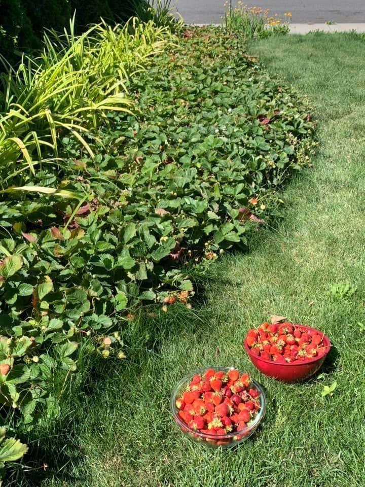 Black Hawk - Residential