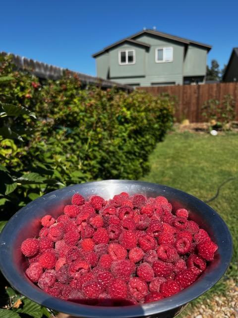 Black Hawk - Residential