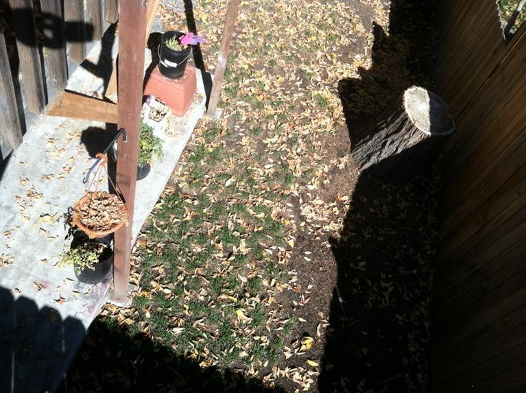 Grants Pass Original Townsite - Residential Income