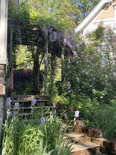 Pomeroy Park - Residential