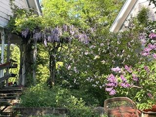 Pomeroy Park - Residential