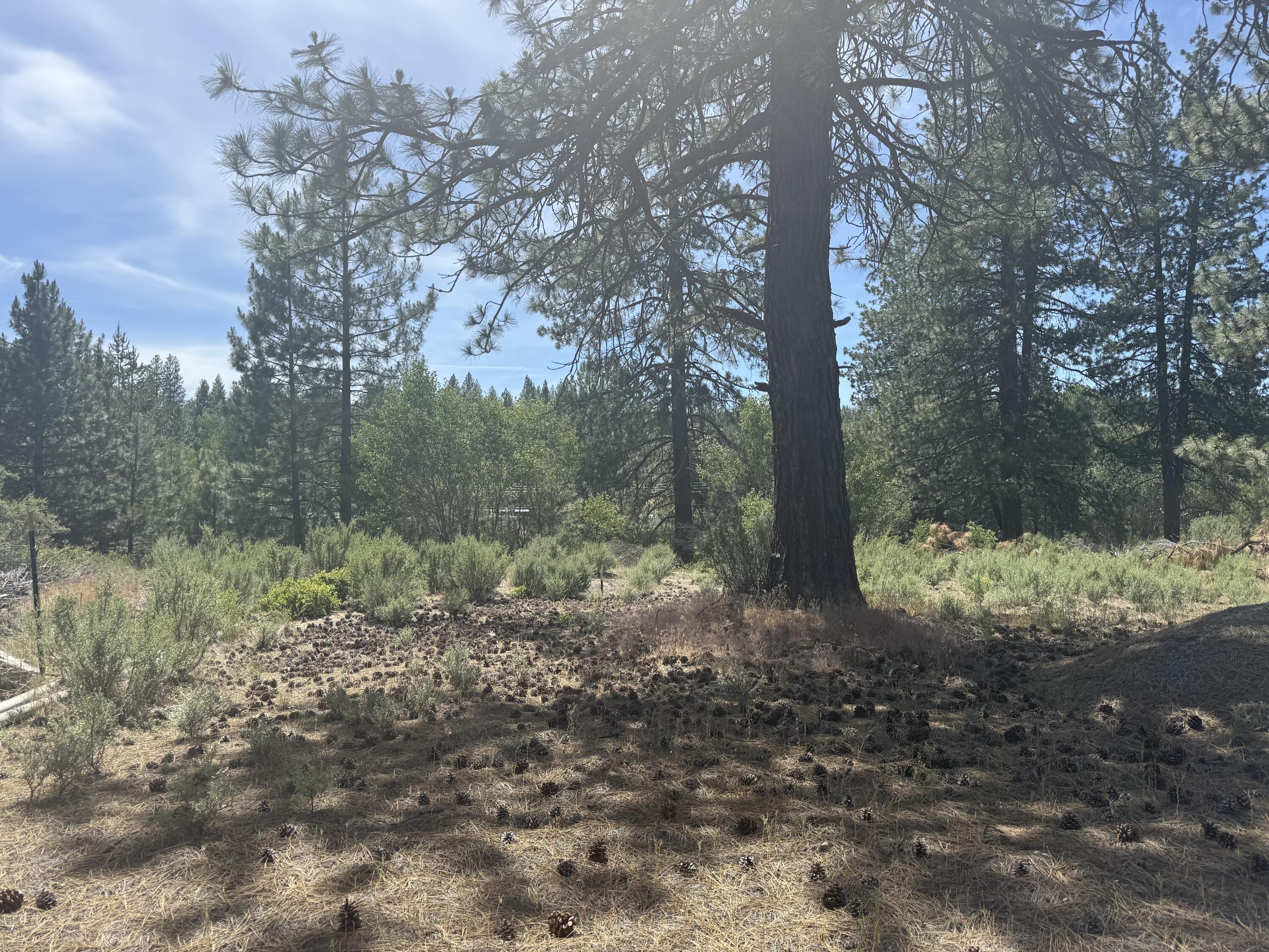 Winema Peninsula - Land