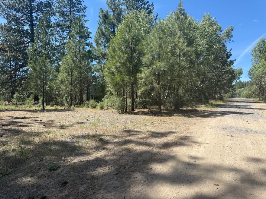 Looking for the perfect homesite? The hard work has already been done! Enjoy the peace & quiet while still being close to Chiloquin, Klamath Falls, Crater Lake & more! This lot has power, well & septic already in place. Mostly level and flat, has a variety of natural trees and shrubs. Easy to find & not far off the paved road!