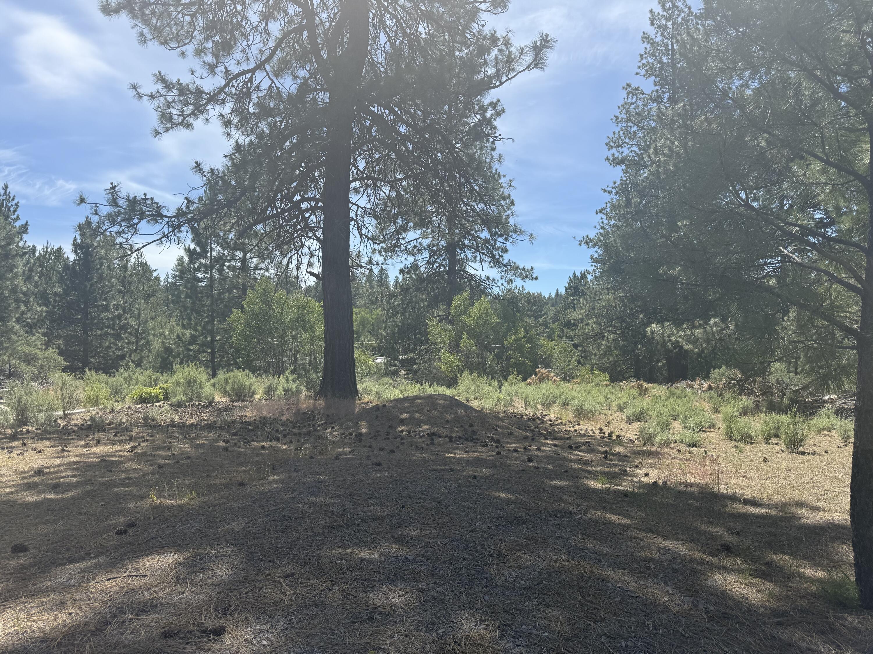 Winema Peninsula - Land