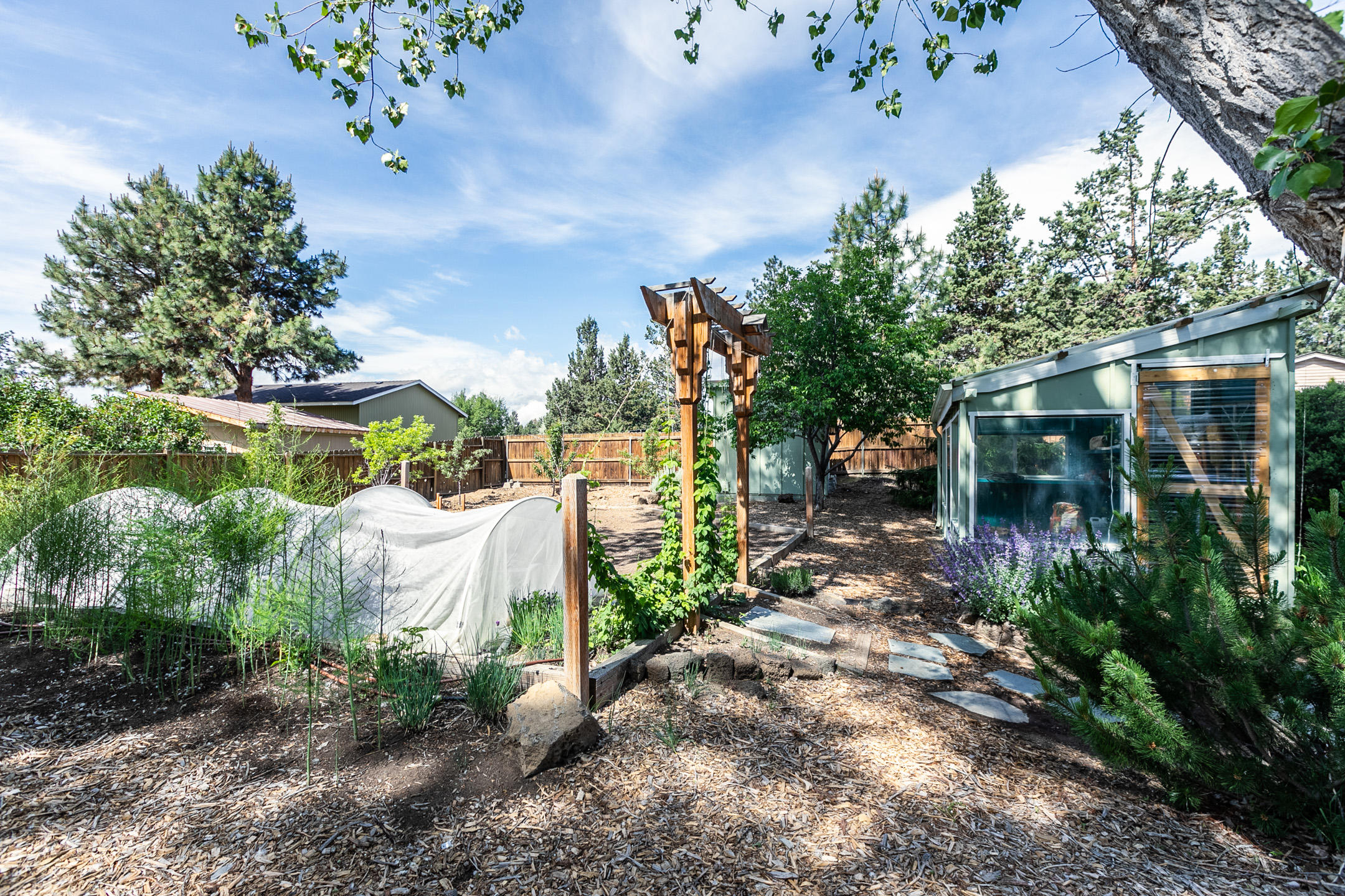 Desert Woods - Residential