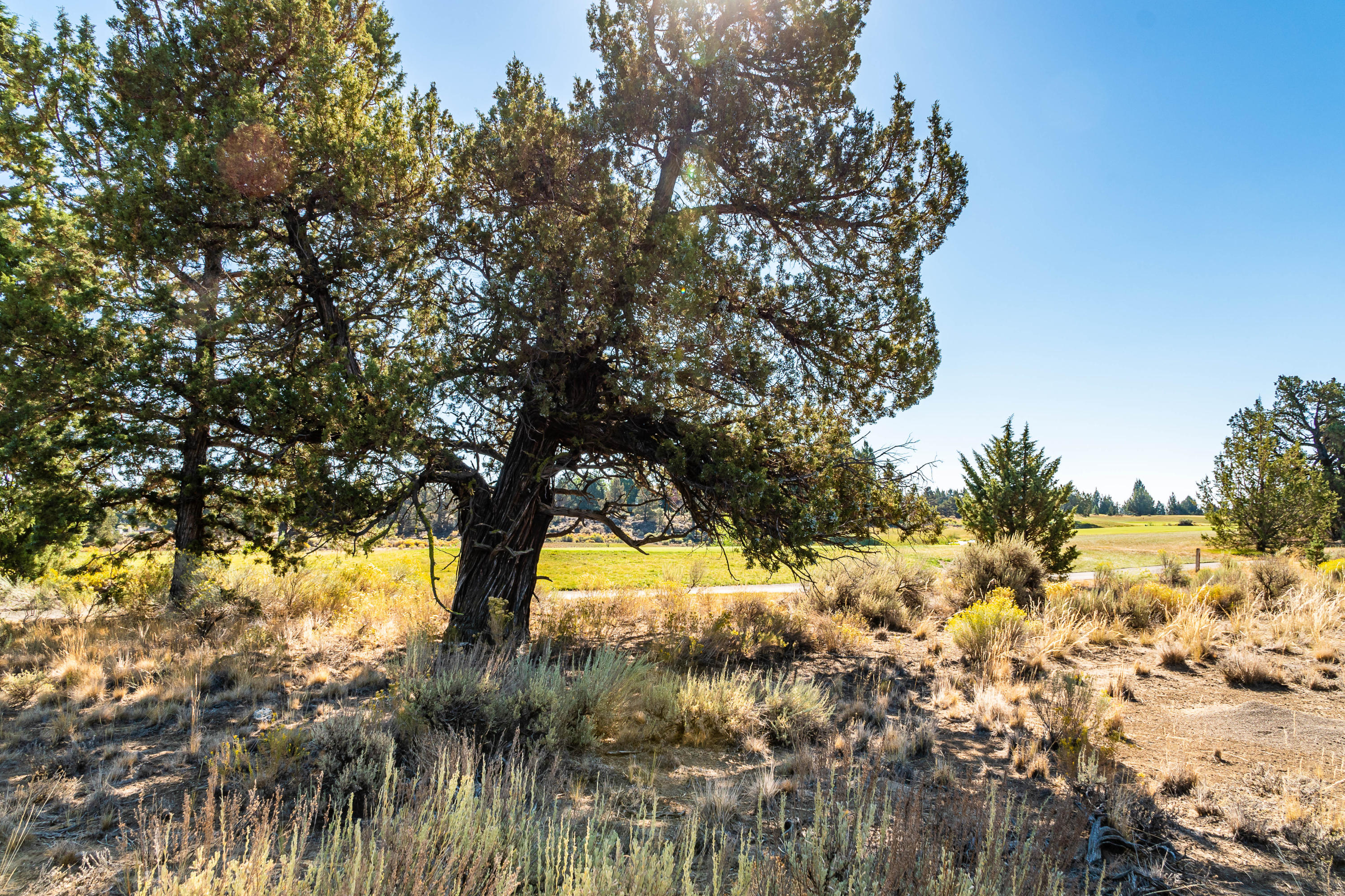 66385 Pronghorn Estates Drive Lot 261