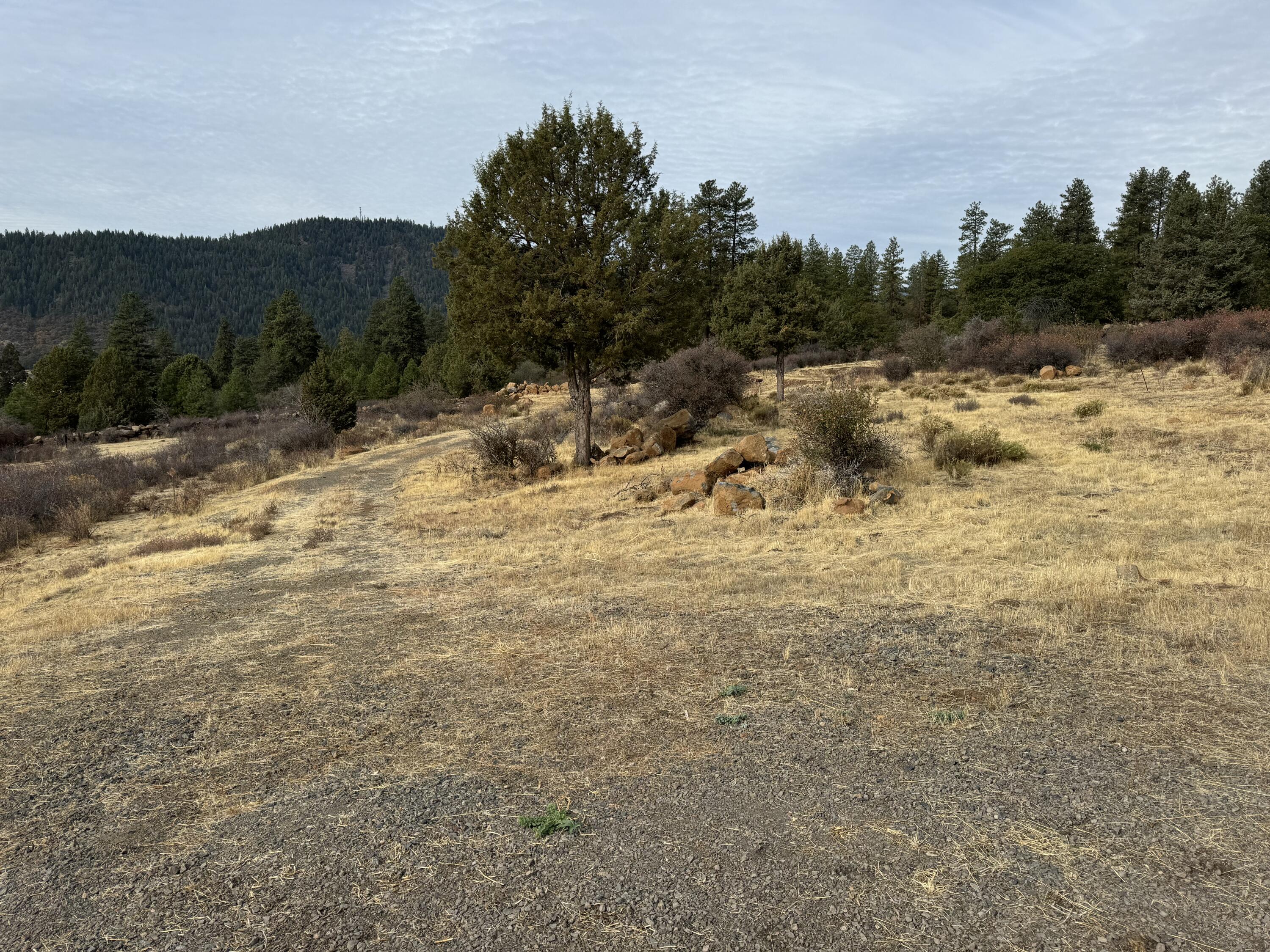 Running YResort - Land