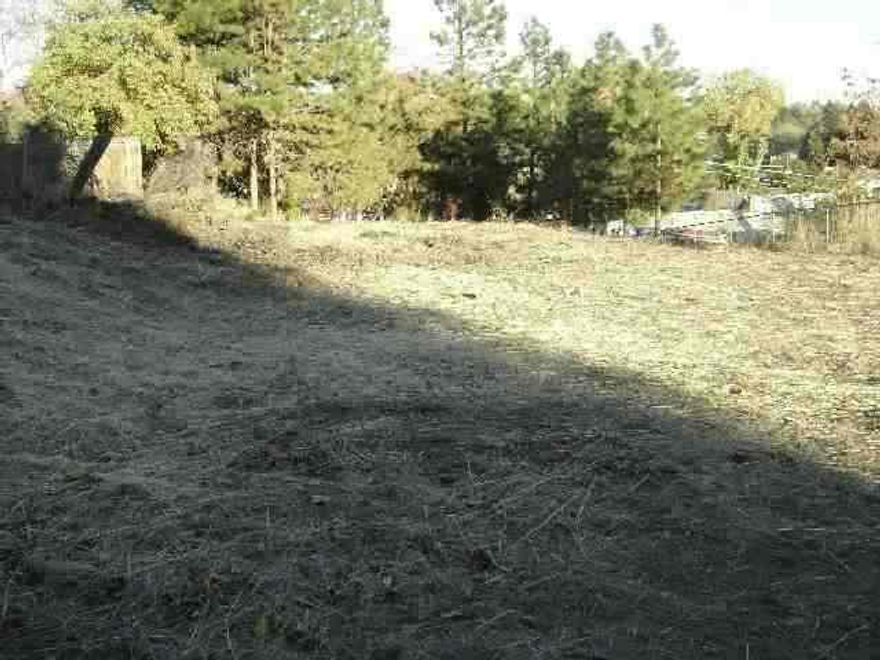 Deep, Sloping Lot With Mature Pine Trees Along Front And East Side. Partially Chain Link Fenced. West Side, Full Alley Access. Only Lot Avail. In Immediate Area. Link River Views.