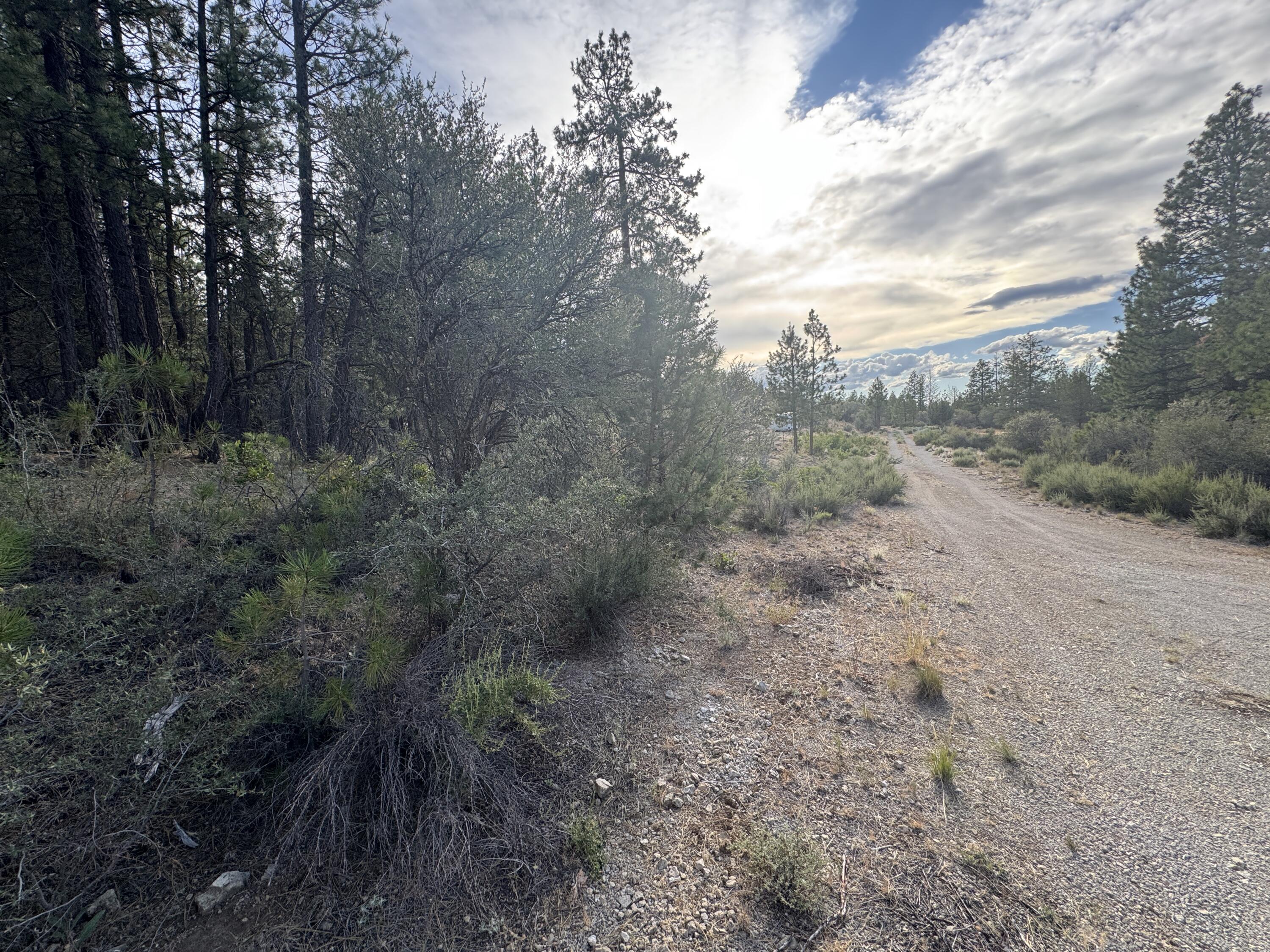 Ferguson Mountain Pines - Land
