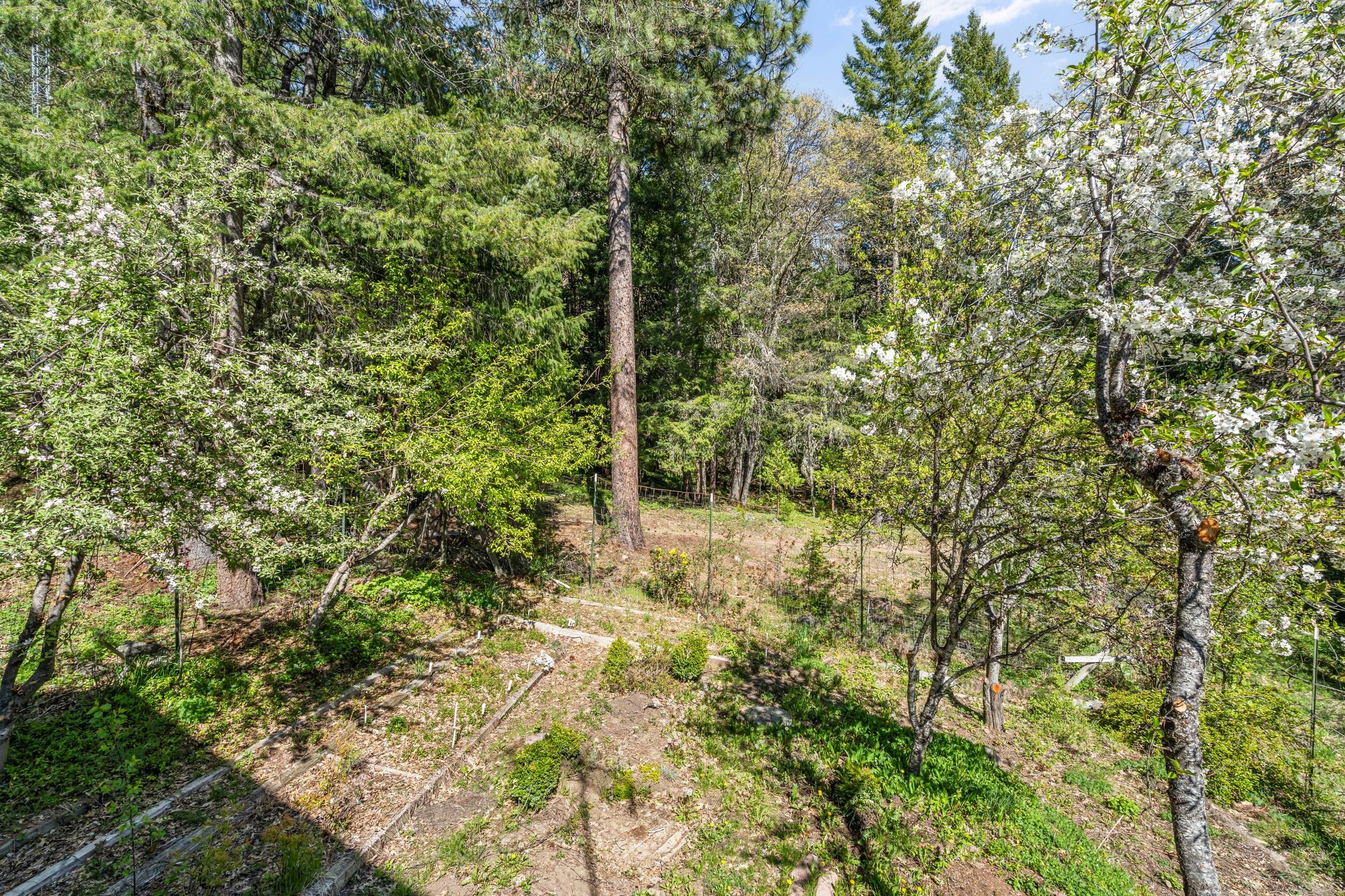 Ashland Original Town (1860) - Residential