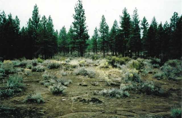 Sprague River - Land